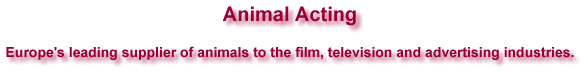 Animal Acting's Welcome Page