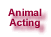 Animal Acting's Home Page
