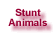 Stunt Animals